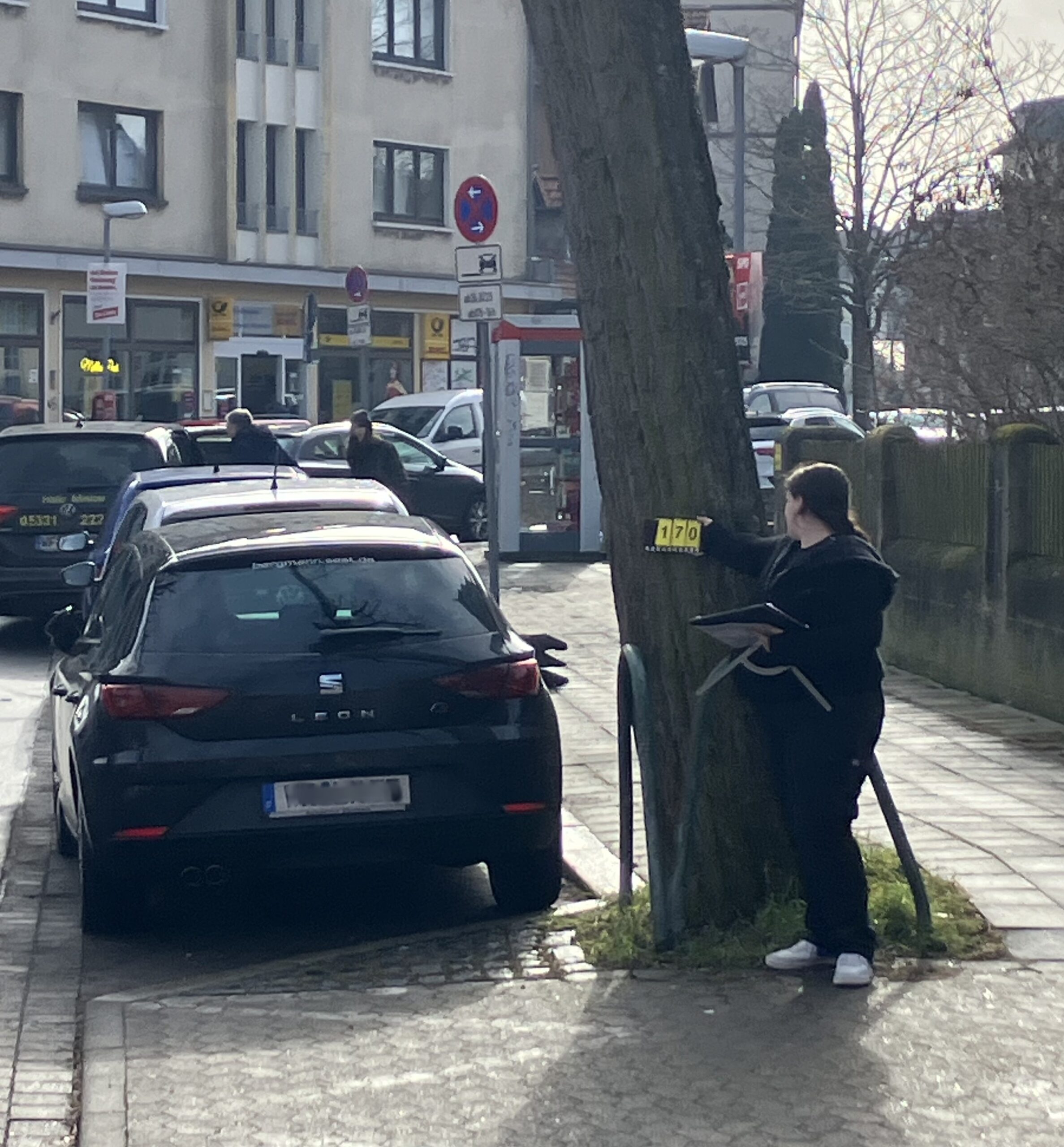 Ein Baum wird kontrolliert
