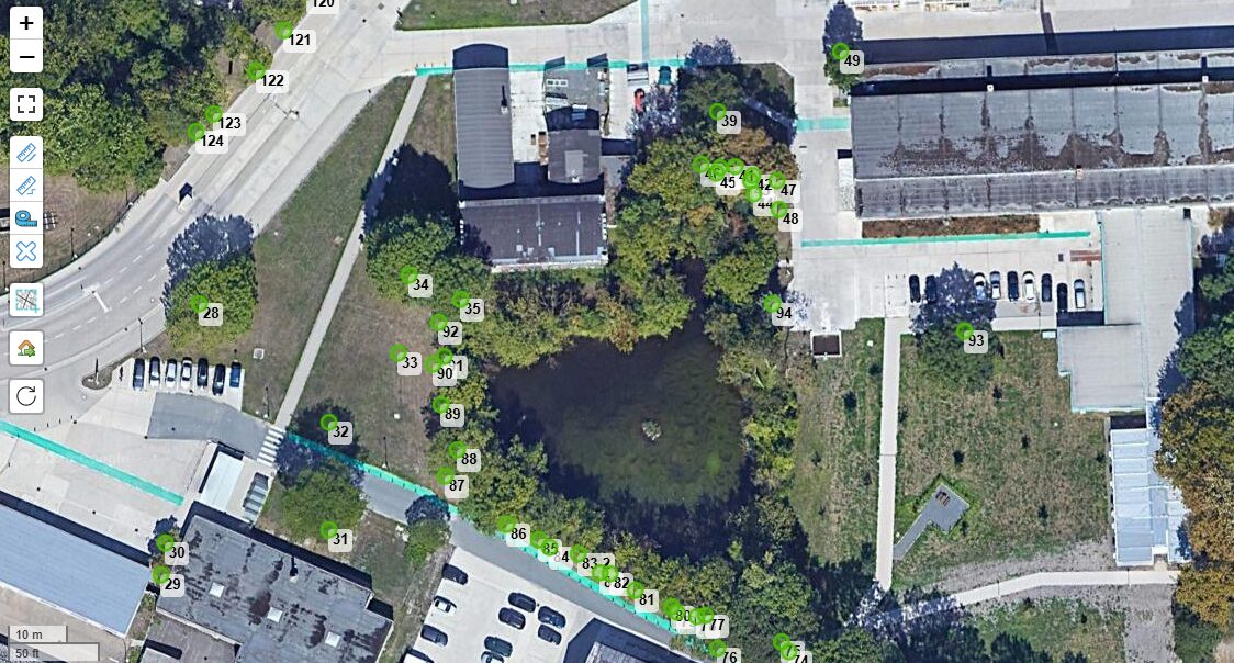 Luftaufnahme mit markierten Bäumen (Baumkataster)